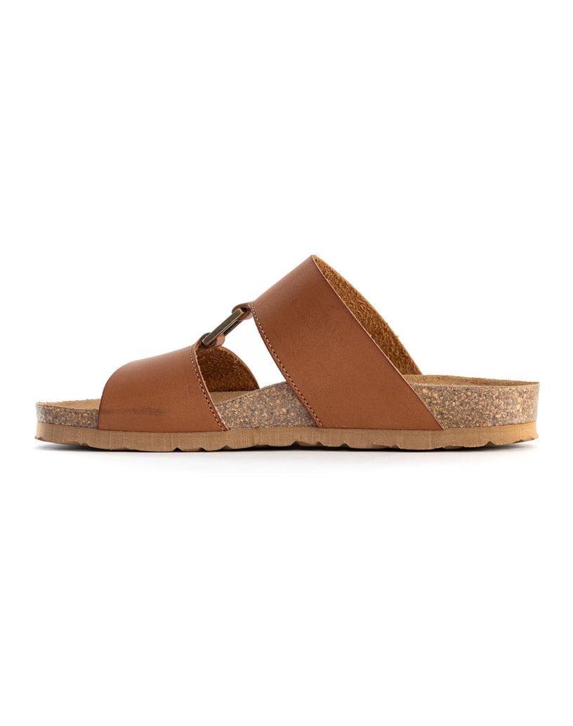 Bayton-NAVIA-camel-