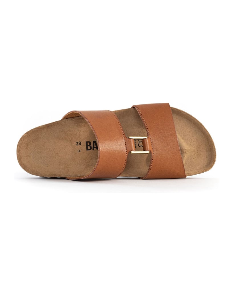 Bayton-NAVIA-camel-