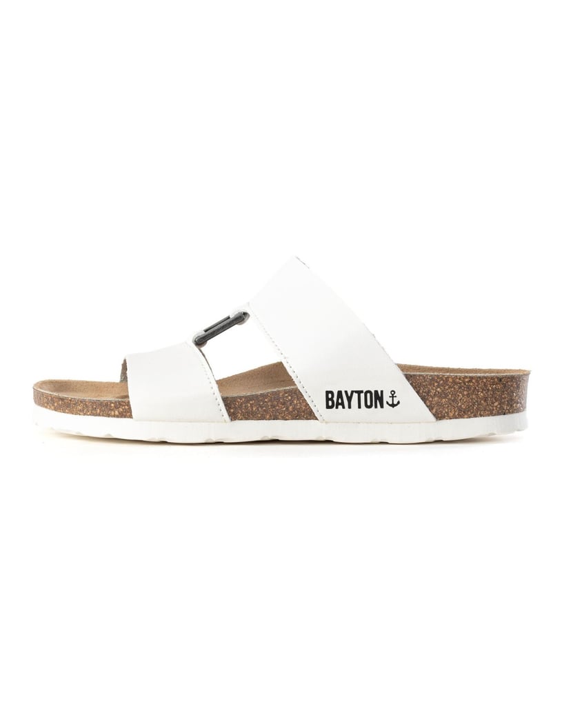 Bayton-NAVIA-camel-