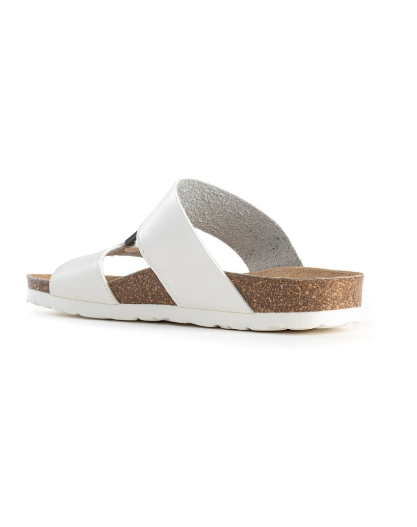 Bayton-NAVIA-camel-