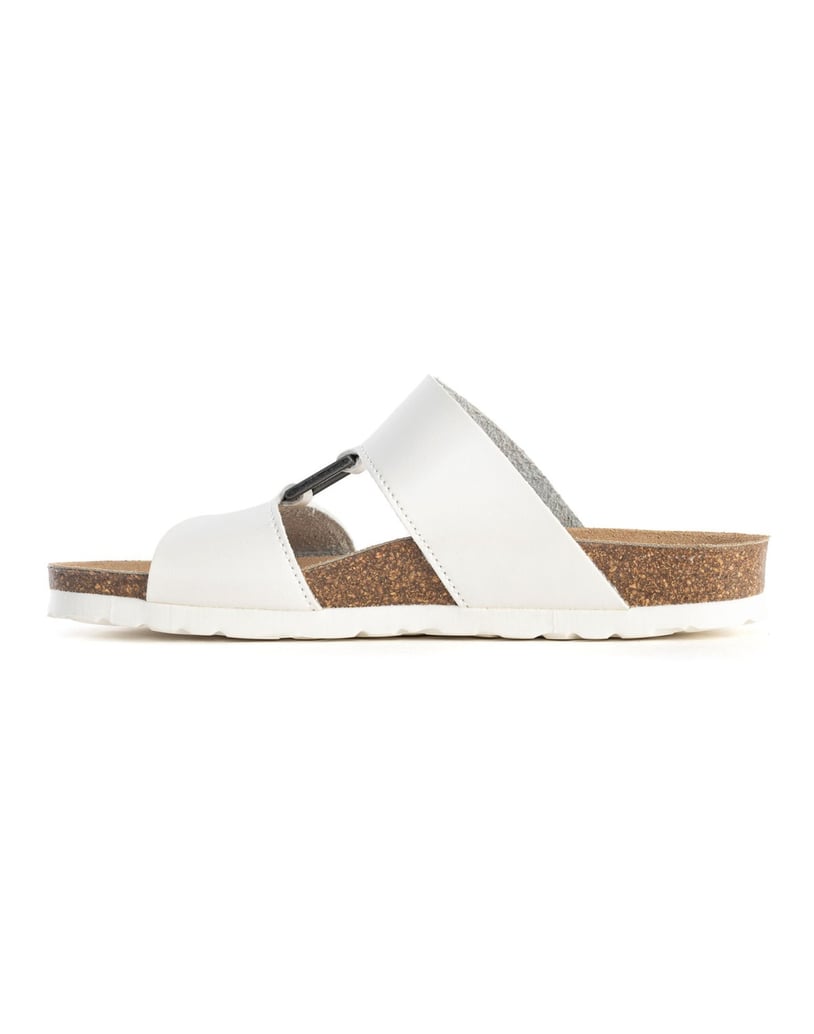 Bayton-NAVIA-camel-