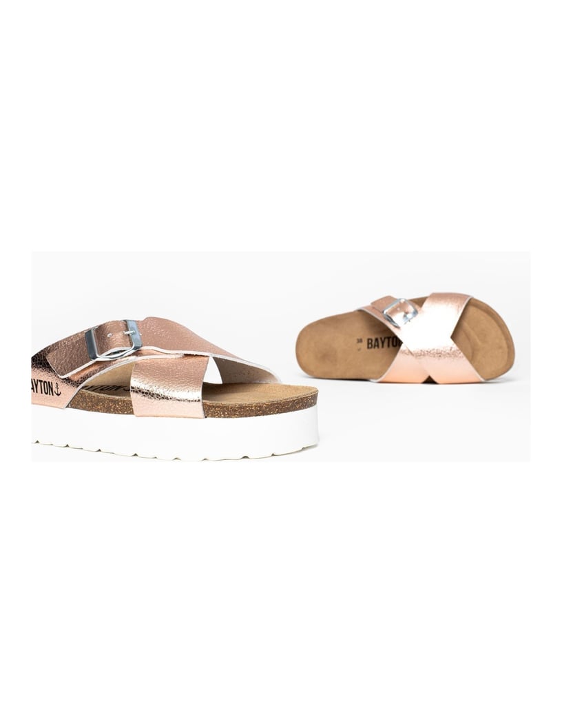 Bayton-Ajax-mules-gold