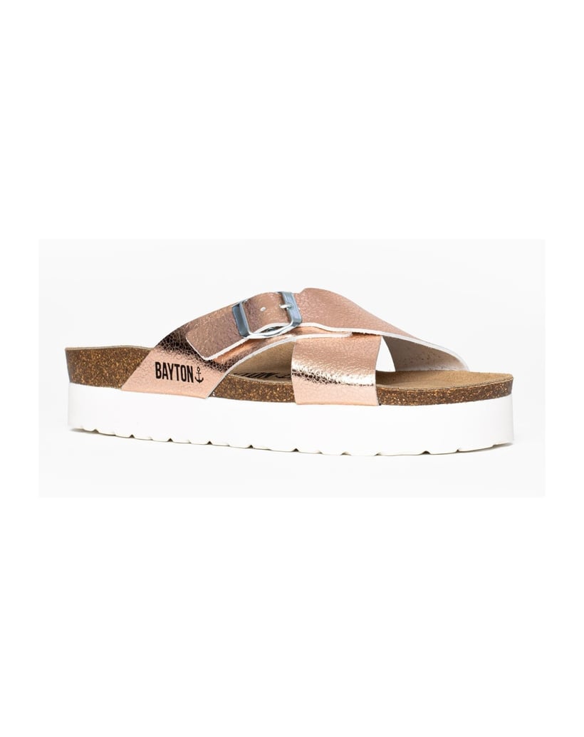 Bayton-Ajax-mules-gold