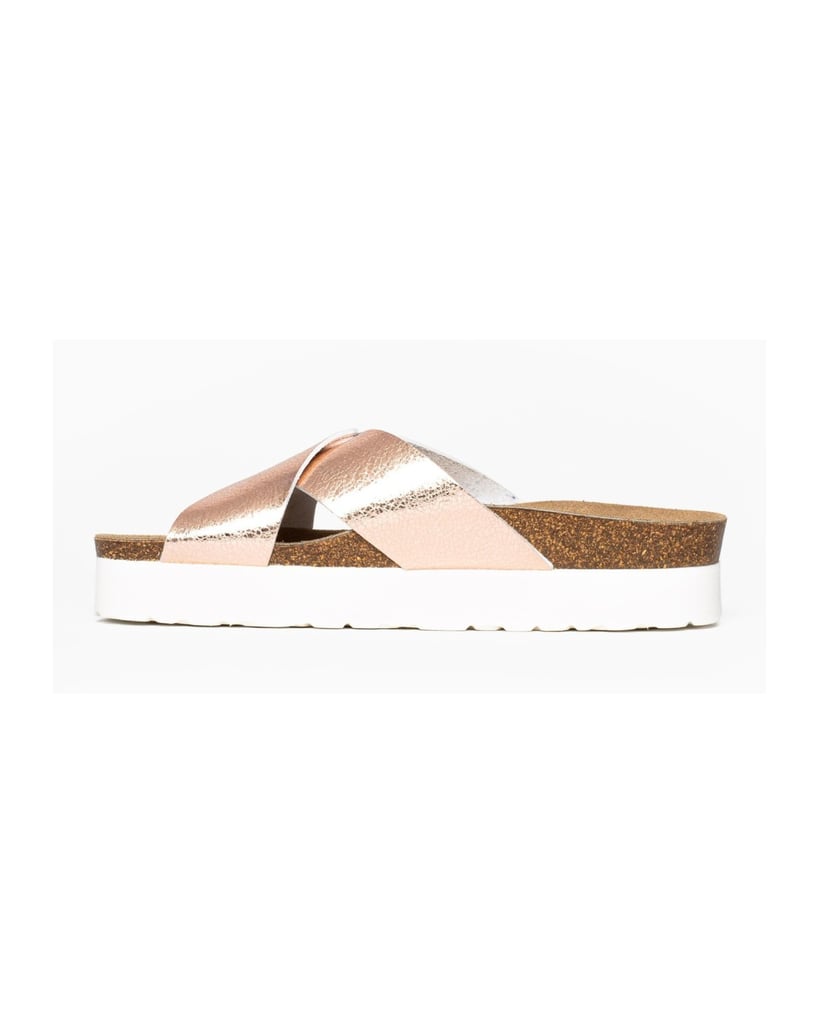 Bayton-Ajax-mules-gold