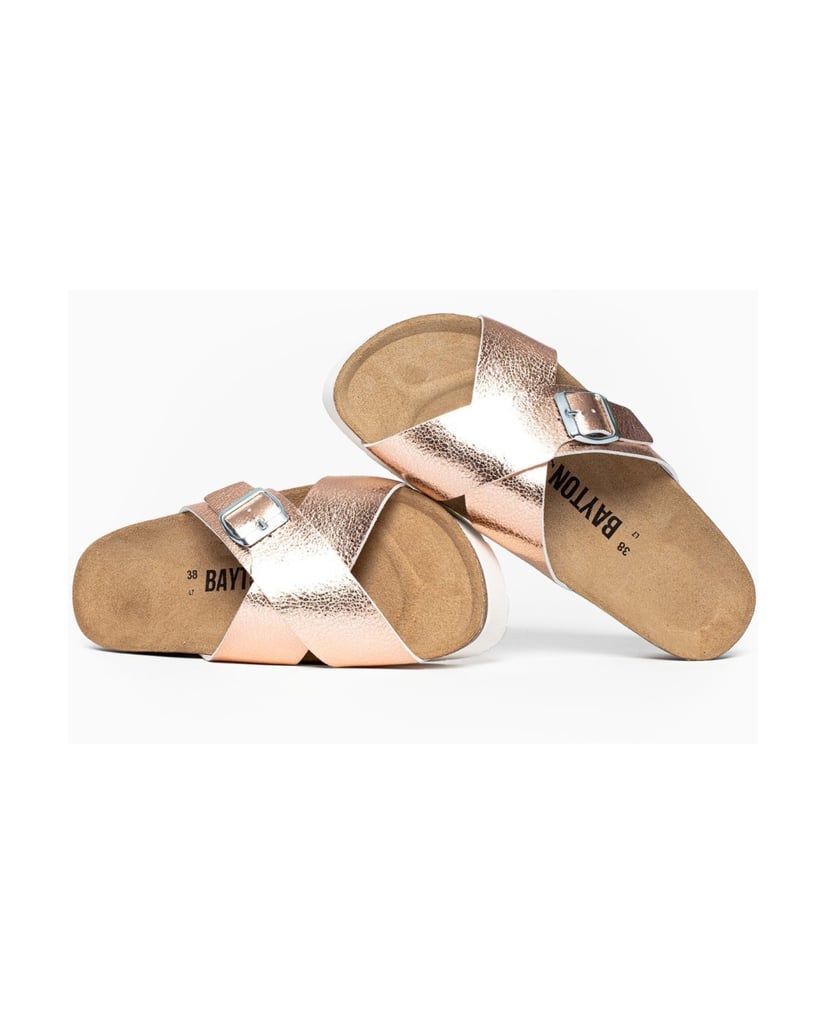 Bayton-Ajax-mules-gold