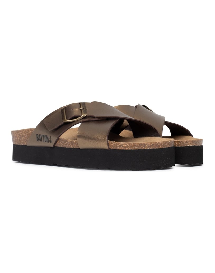 Bayton-Ajax-mules-gold