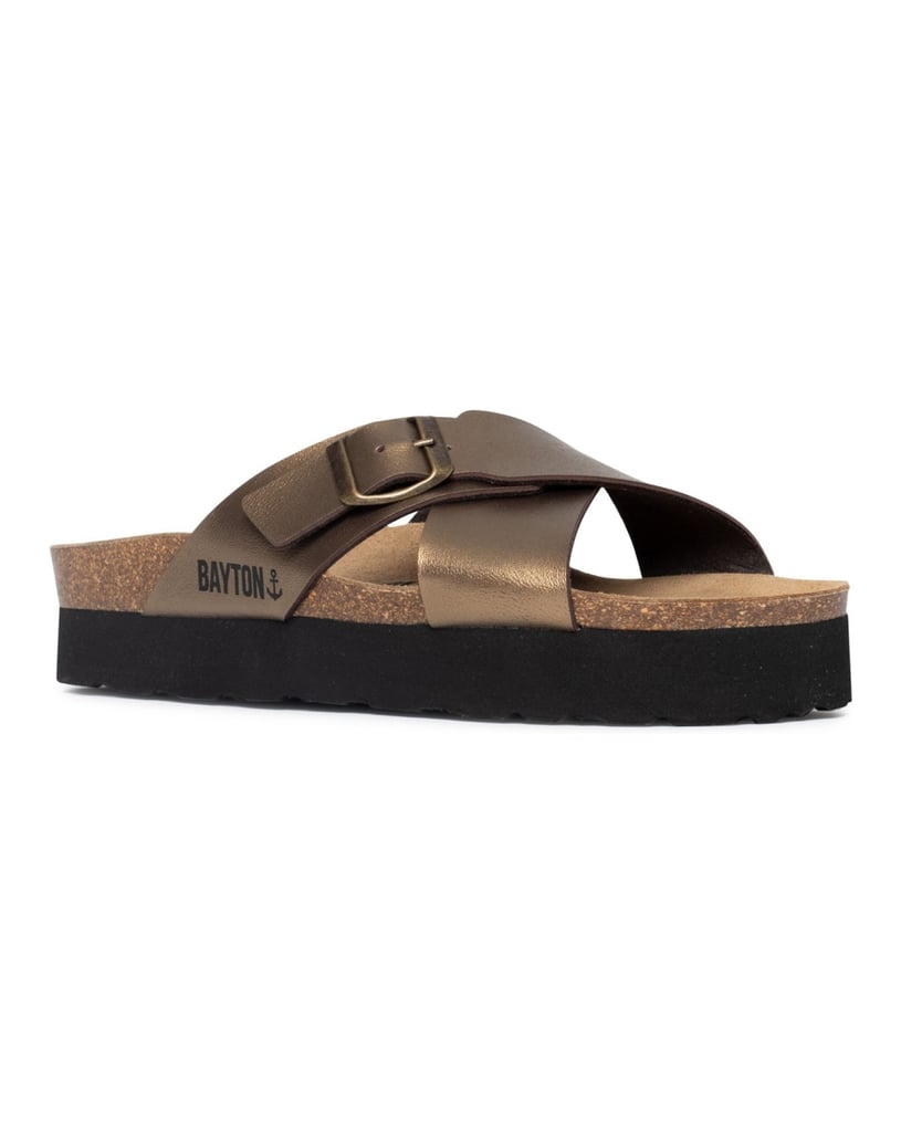Bayton-Ajax-mules-gold