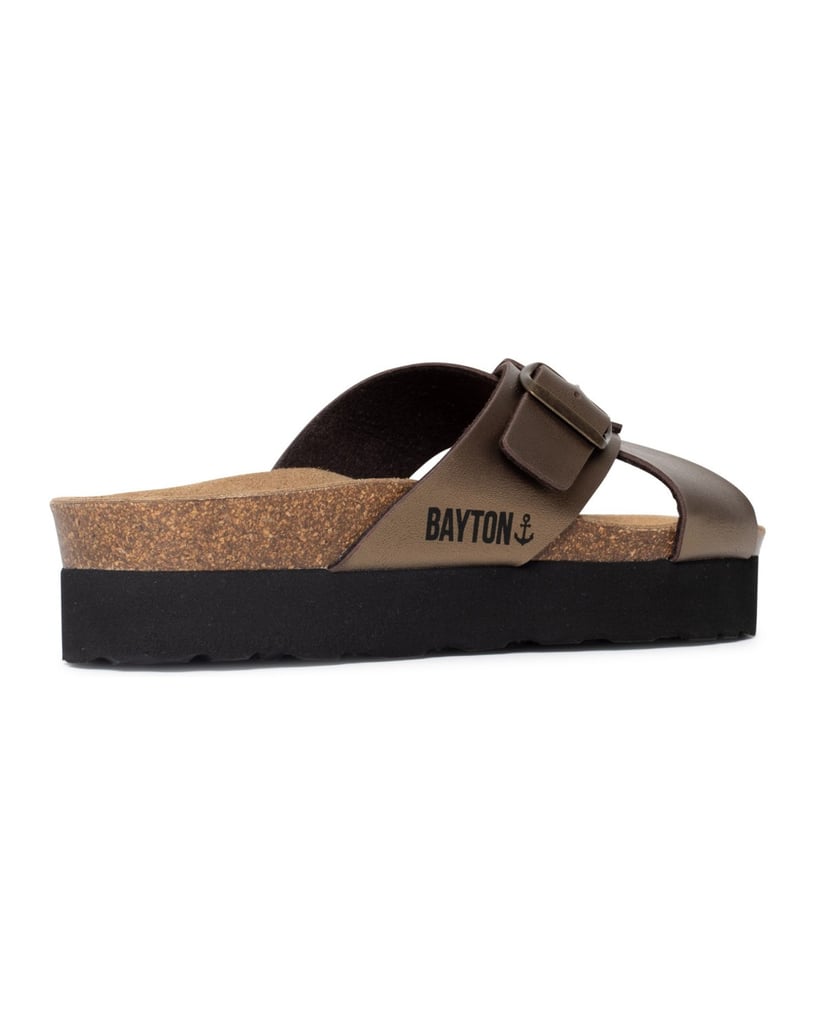 Bayton-Ajax-mules-gold