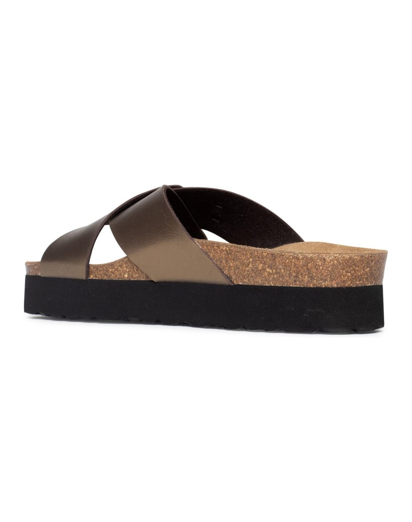 Bayton-Ajax-mules-gold