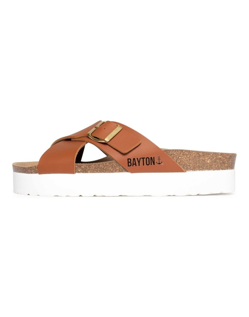 Bayton-Ajax-mules-gold