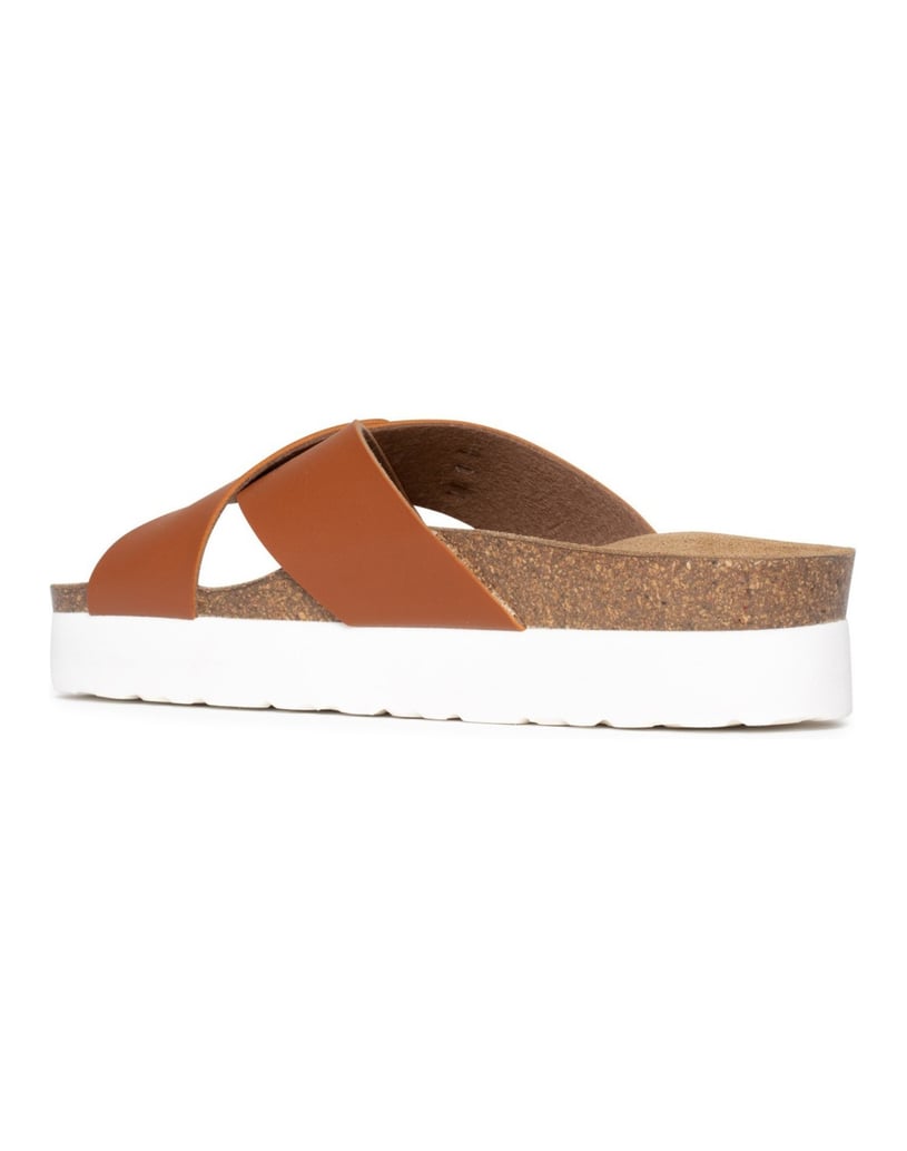 Bayton-Ajax-mules-gold