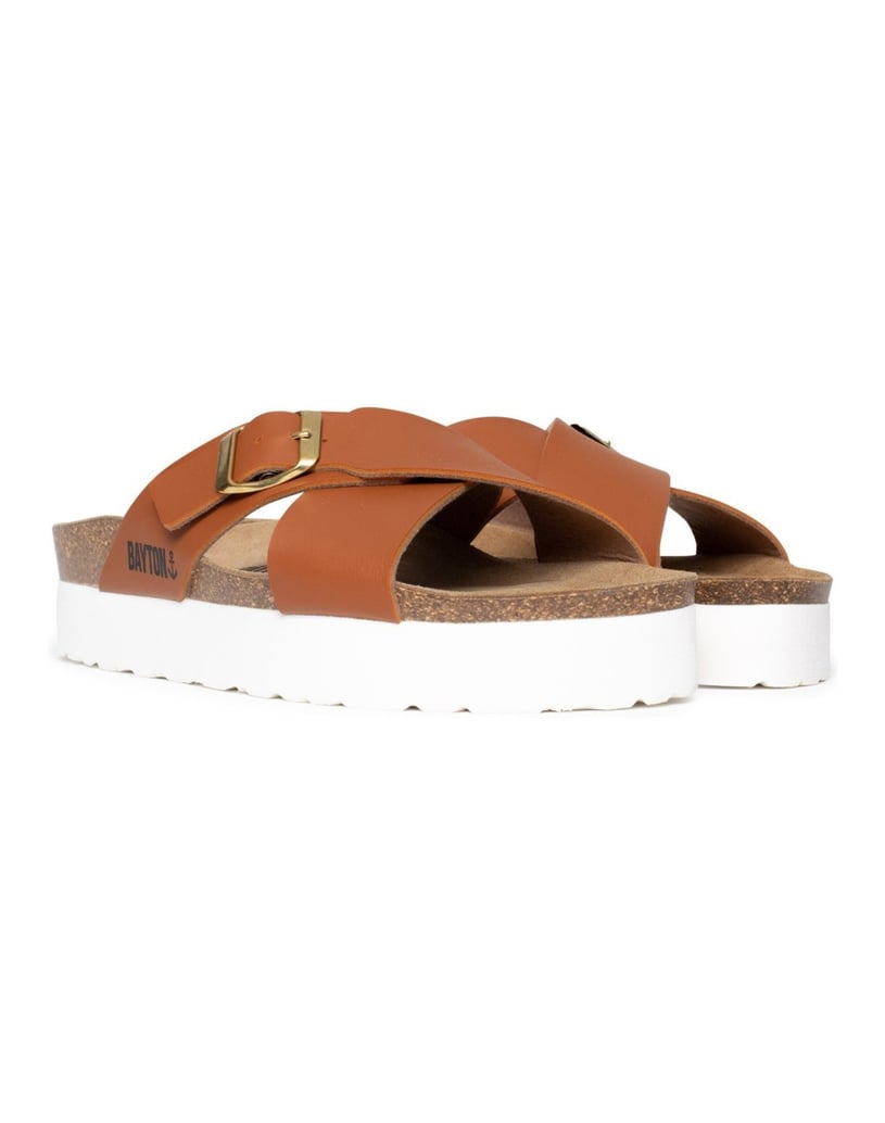 Bayton-Ajax-mules-gold