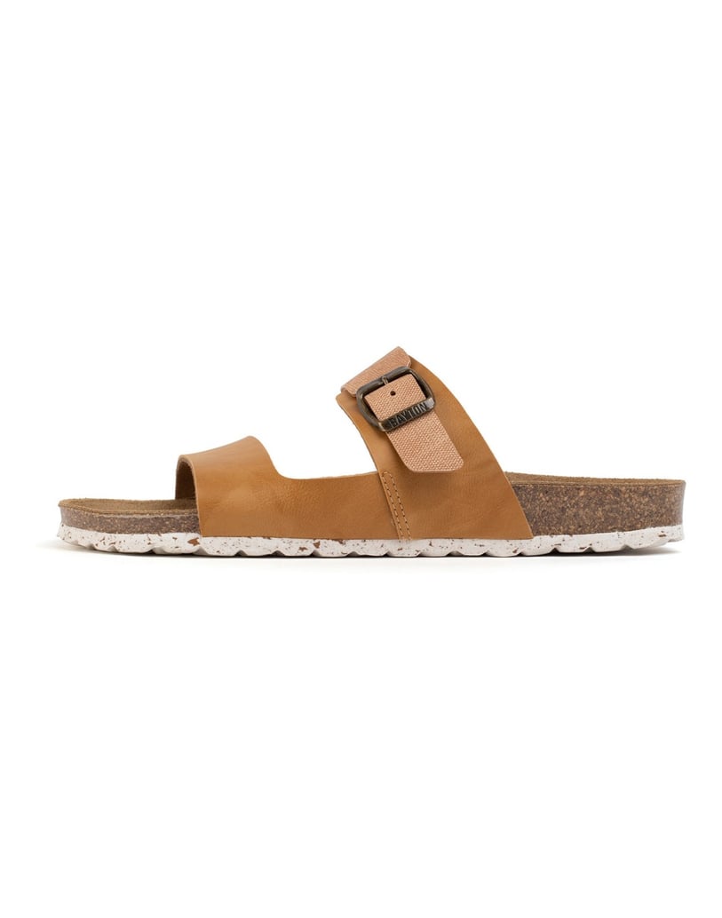 Bayton-Maultiere-Guirec-camel-