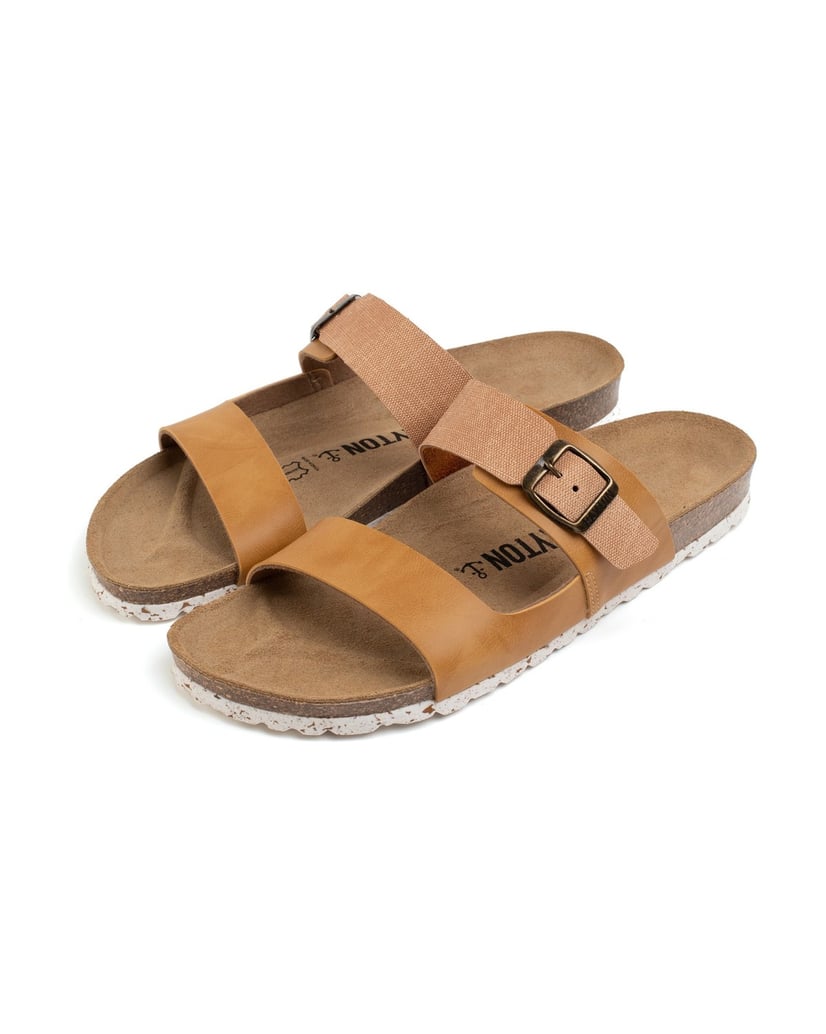 Bayton-Maultiere-Guirec-camel-