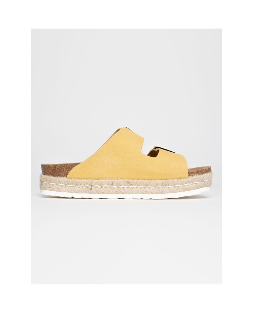 Bayton-Mules--Alcee-schwarz