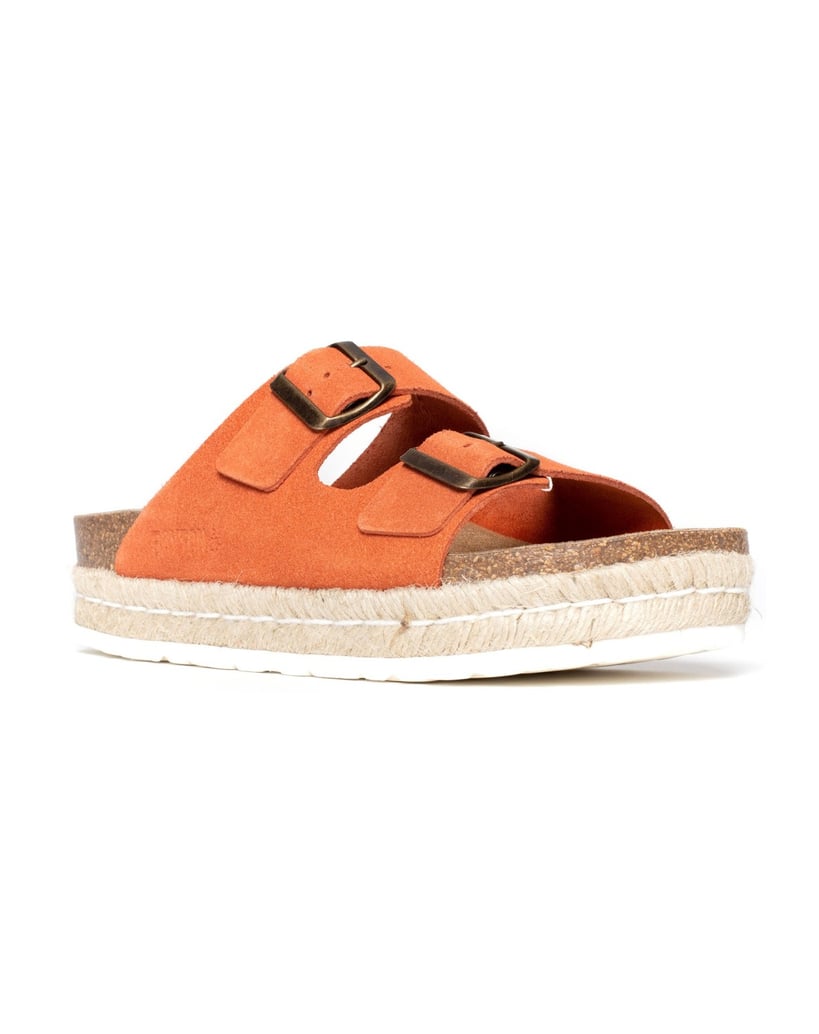 Bayton-Mules--Alcee-schwarz