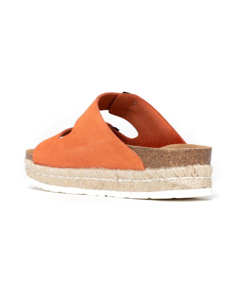 Bayton-Mules--Alcee-schwarz