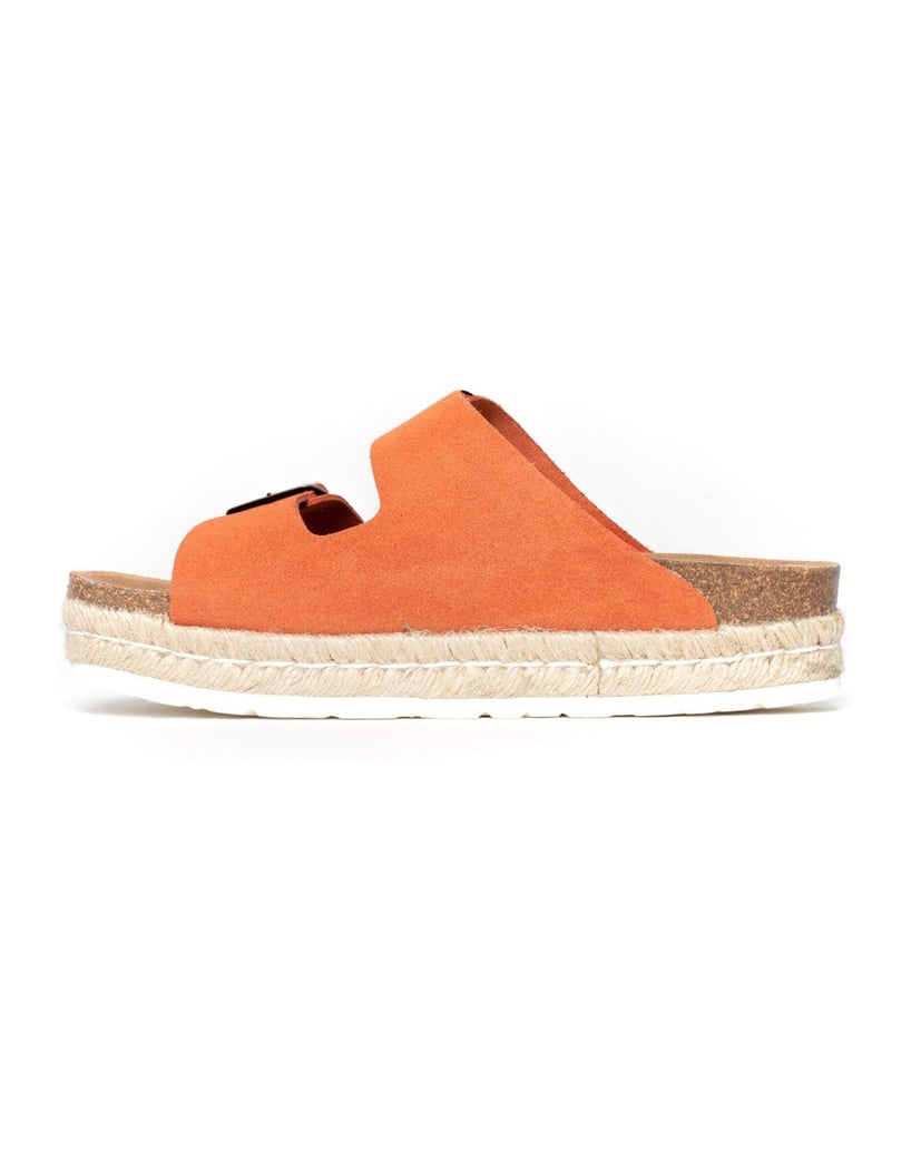 Bayton-Mules--Alcee-schwarz