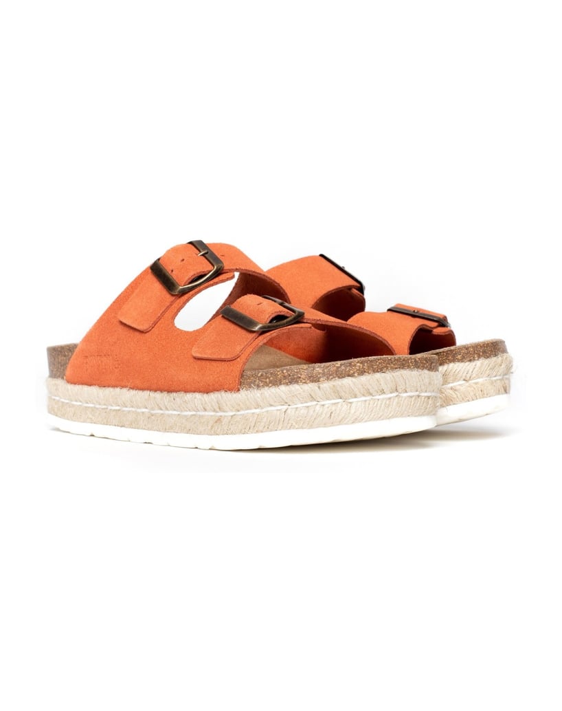 Bayton-Mules--Alcee-schwarz