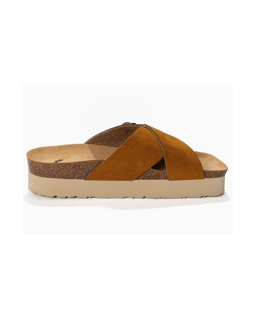 Bayton-Mules-woman-Ajax-camel
