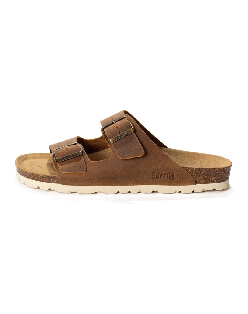 Bayton-Mules-men-Atlas-camel-