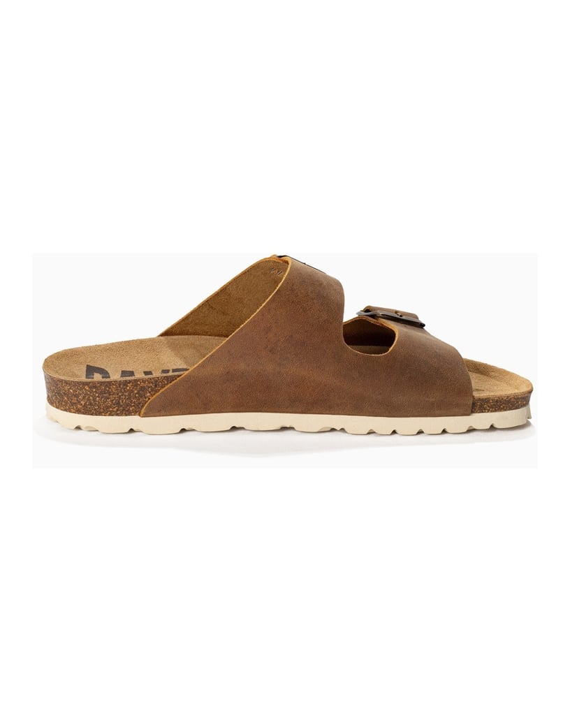 Bayton-Mules-men-Atlas-camel-
