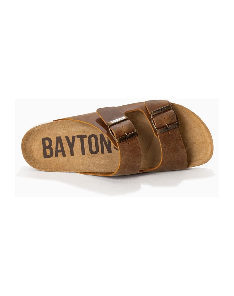Bayton-Mules-men-Atlas-camel-