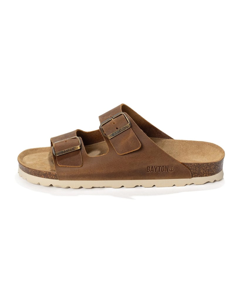 Bayton-Mules-men-Atlas-camel-