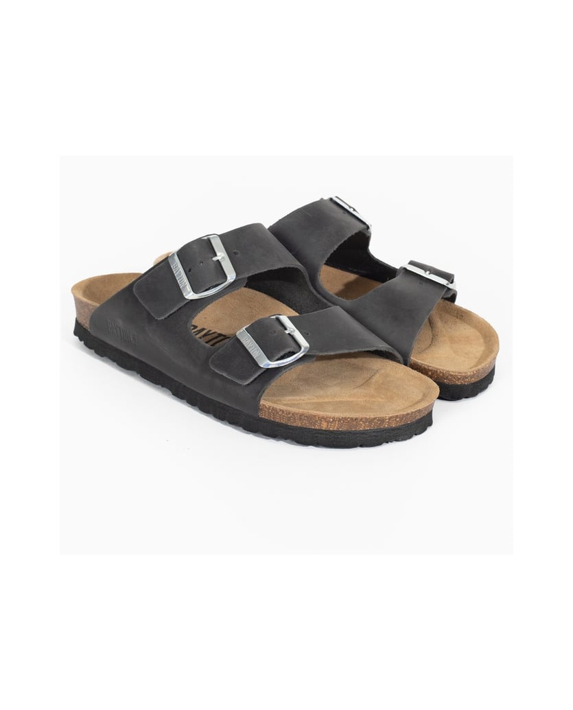 Bayton-Mules-men-Atlas-camel-