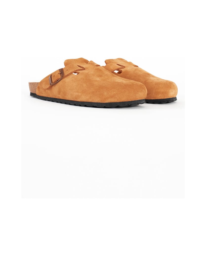 Bayton-Moke-camel