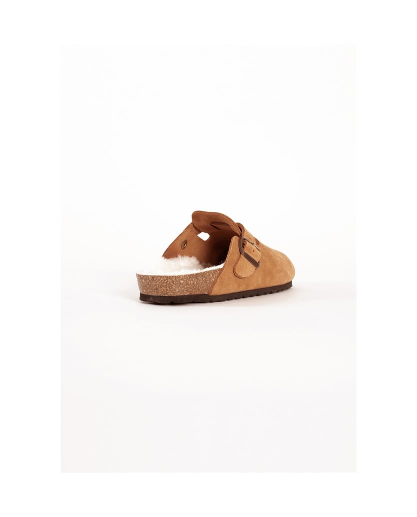 Bayton-Moke-camel
