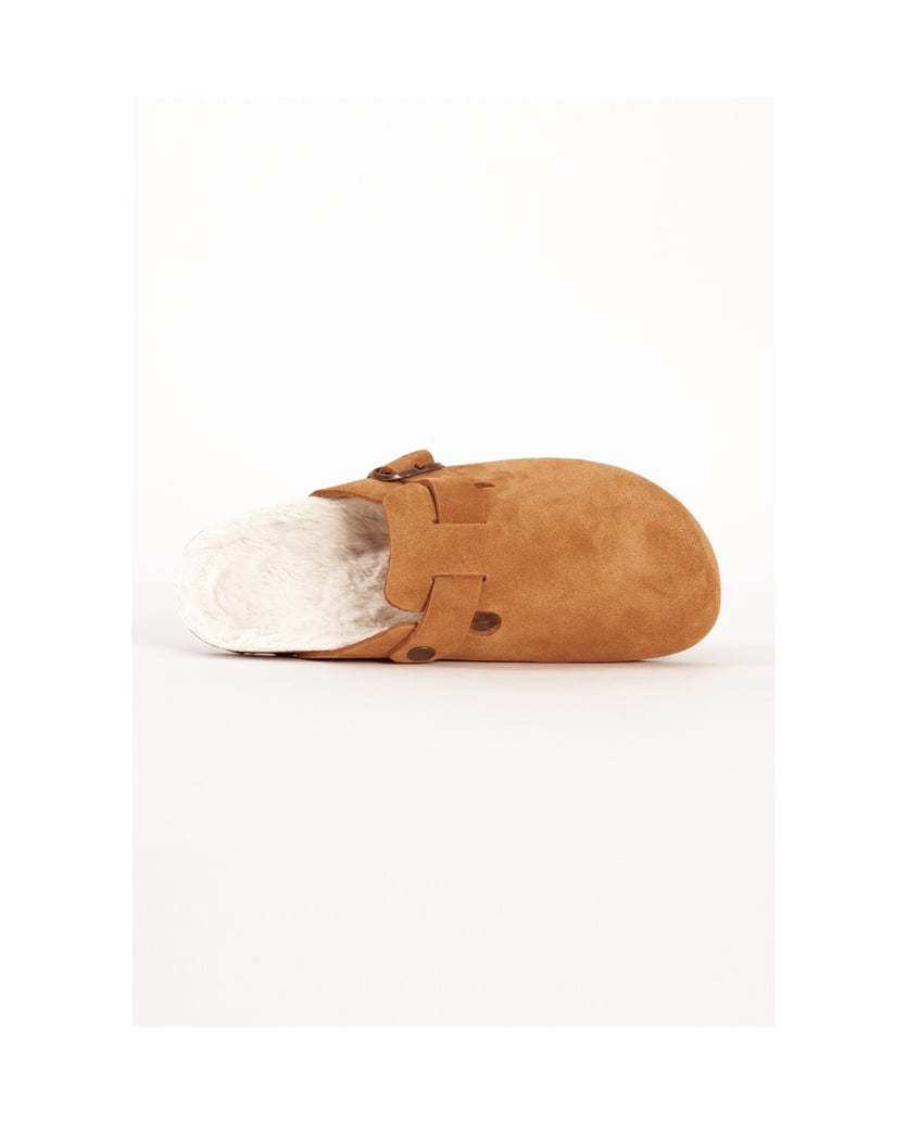 Bayton-Moke-camel