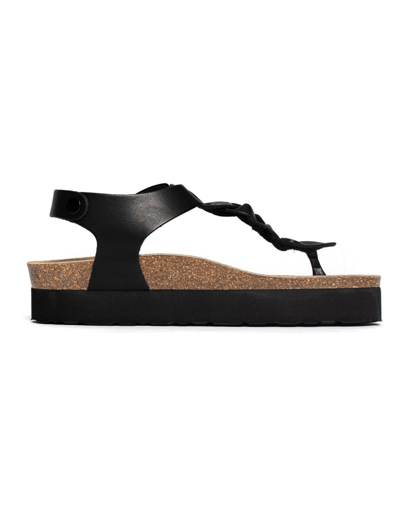 Bayton-Mules-Badajoz-schwarz