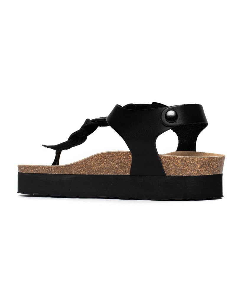 Bayton-Mules-Badajoz-schwarz