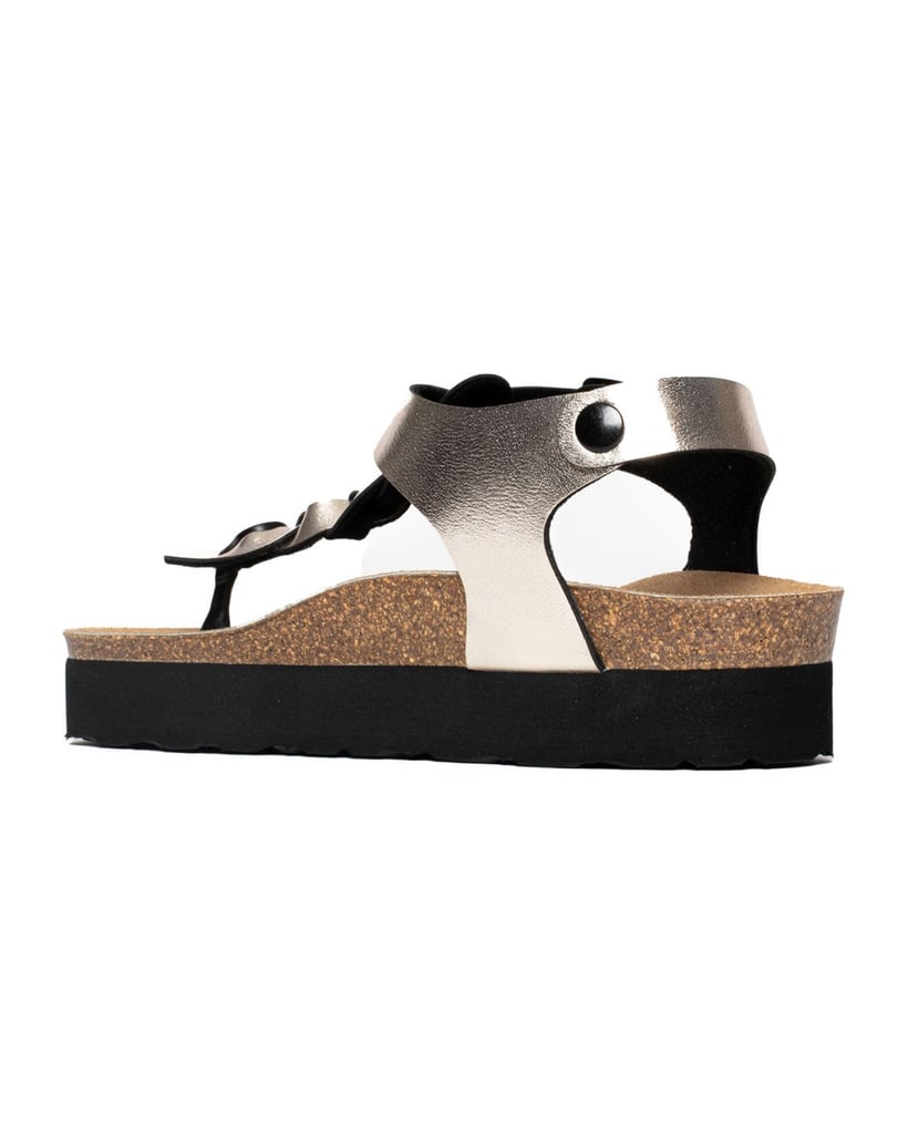 Bayton-Mules-Badajoz-schwarz