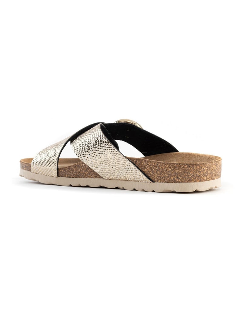 Bayton-DUSHAN-gold