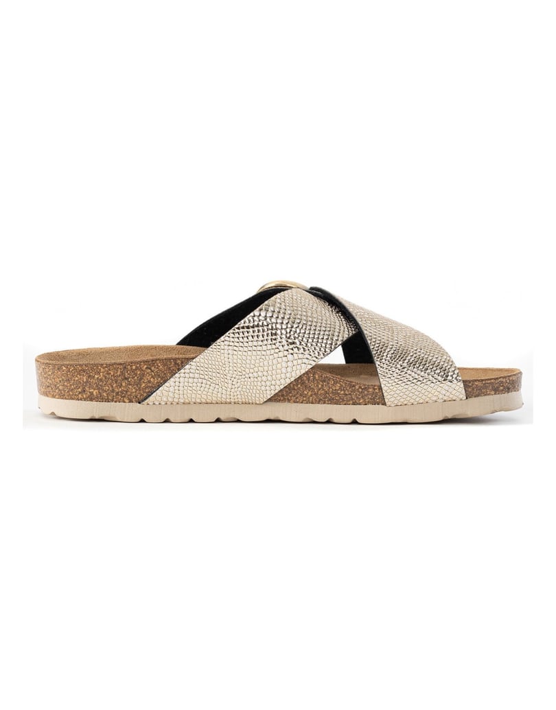 Bayton-DUSHAN-gold
