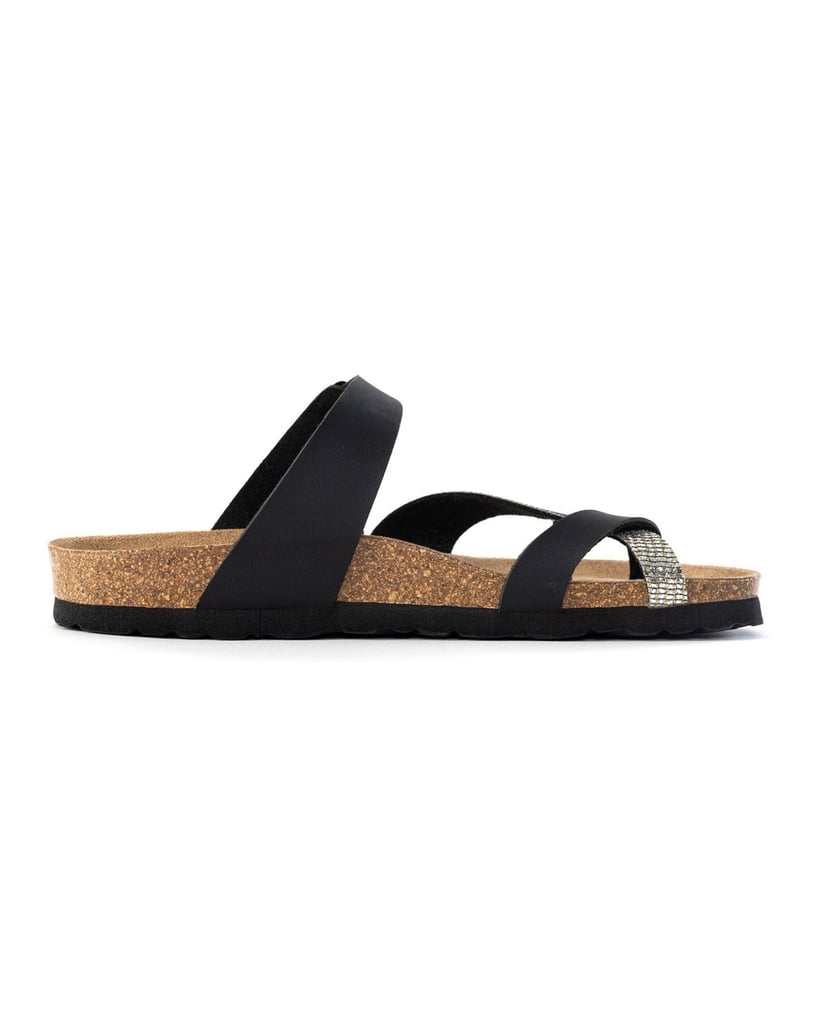 Bayton-Mules-Diane-braun