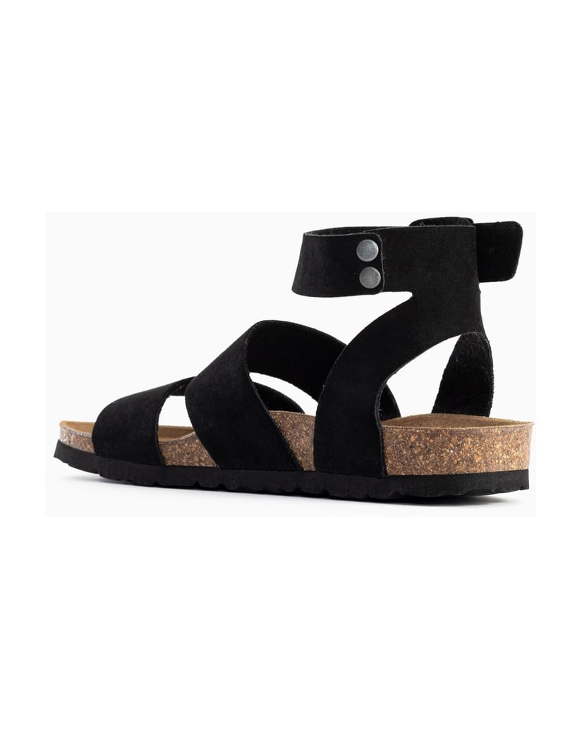 Bayton-Mules-Soria-schwarz
