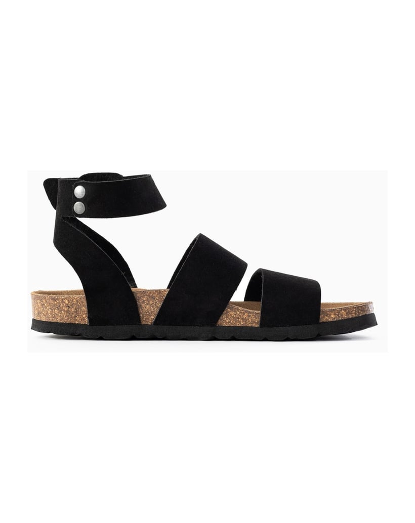 Bayton-Mules-Soria-schwarz
