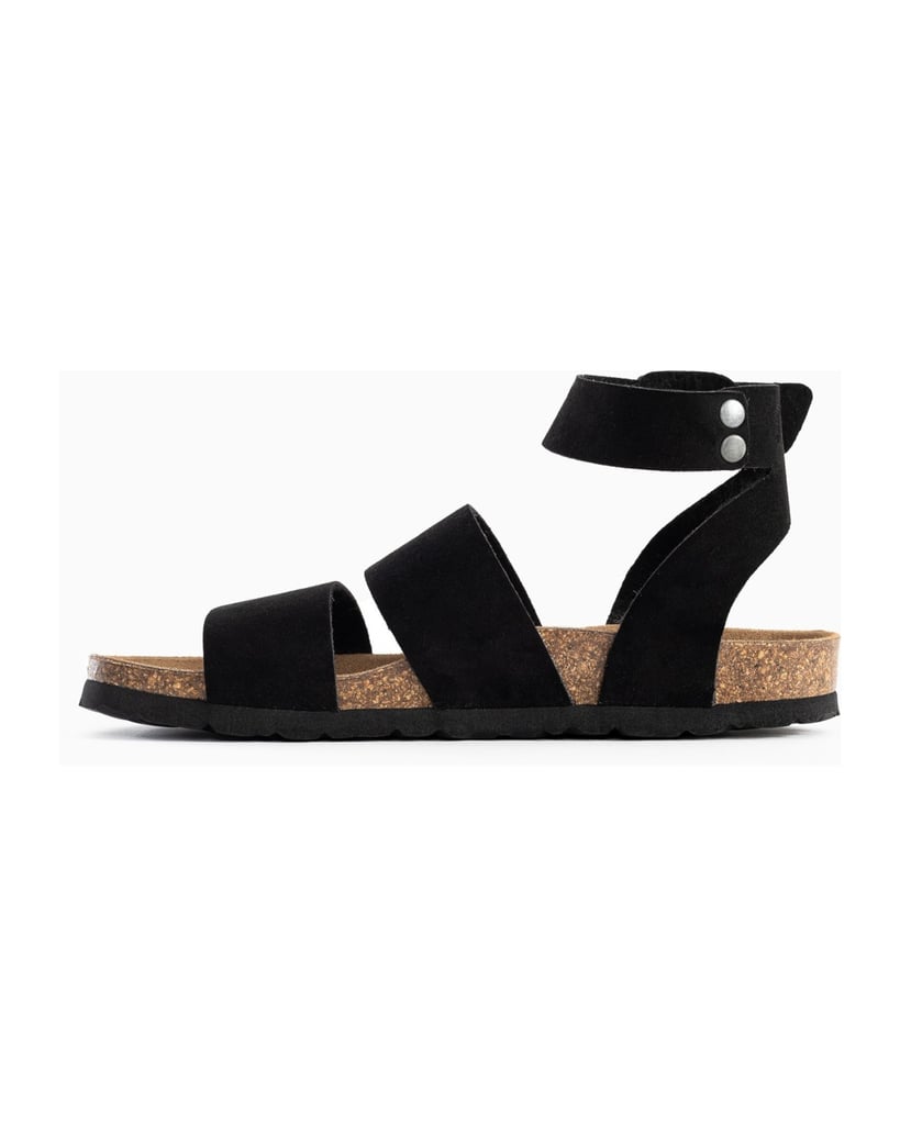 Bayton-Mules-Soria-schwarz