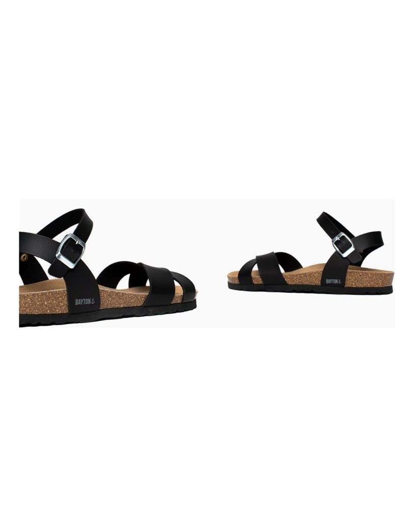 Bayton-Sandales-Vallado-schwarz