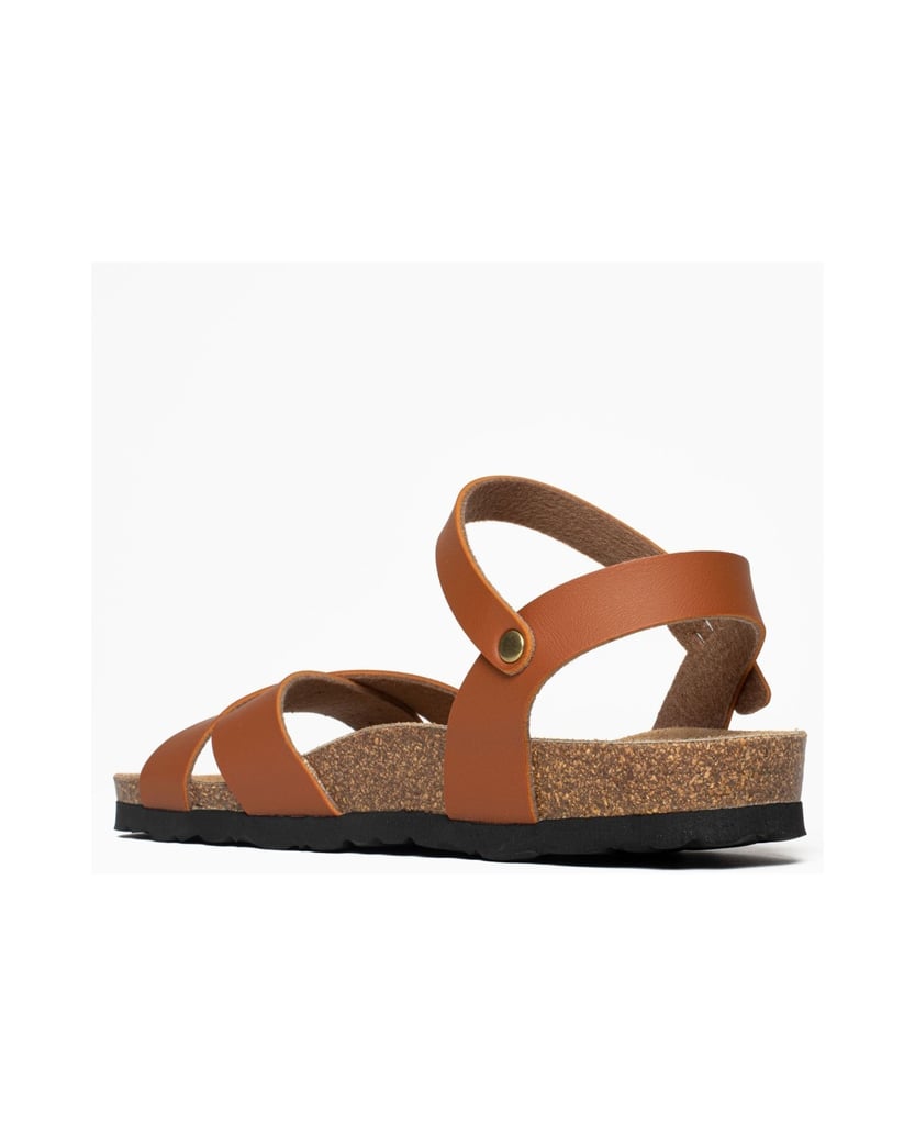 Bayton-Sandales-Vallado-schwarz