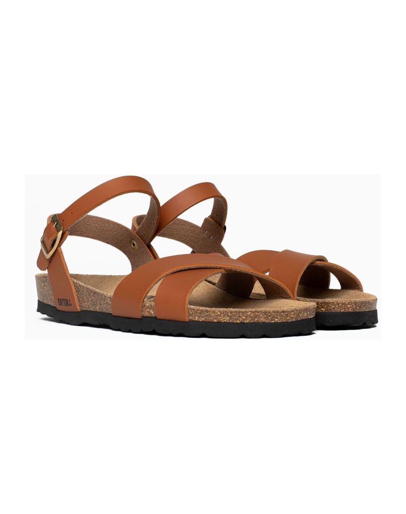 Bayton-Sandales-Vallado-schwarz