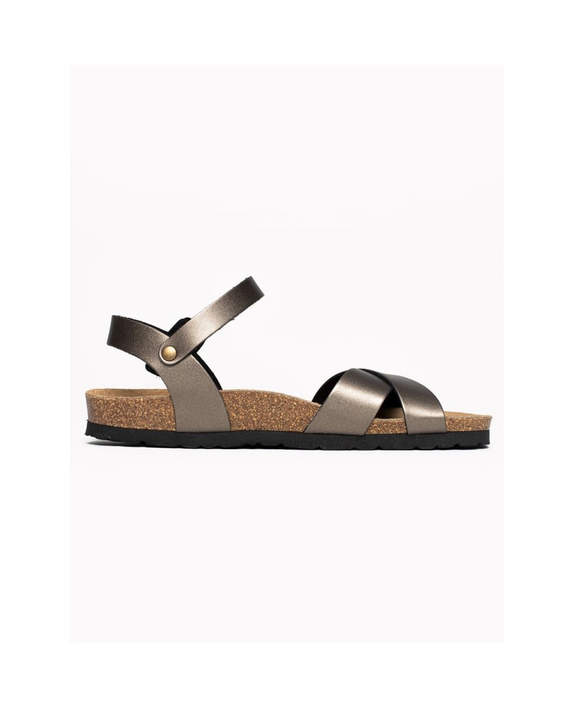 Bayton-Sandales-Vallado-schwarz