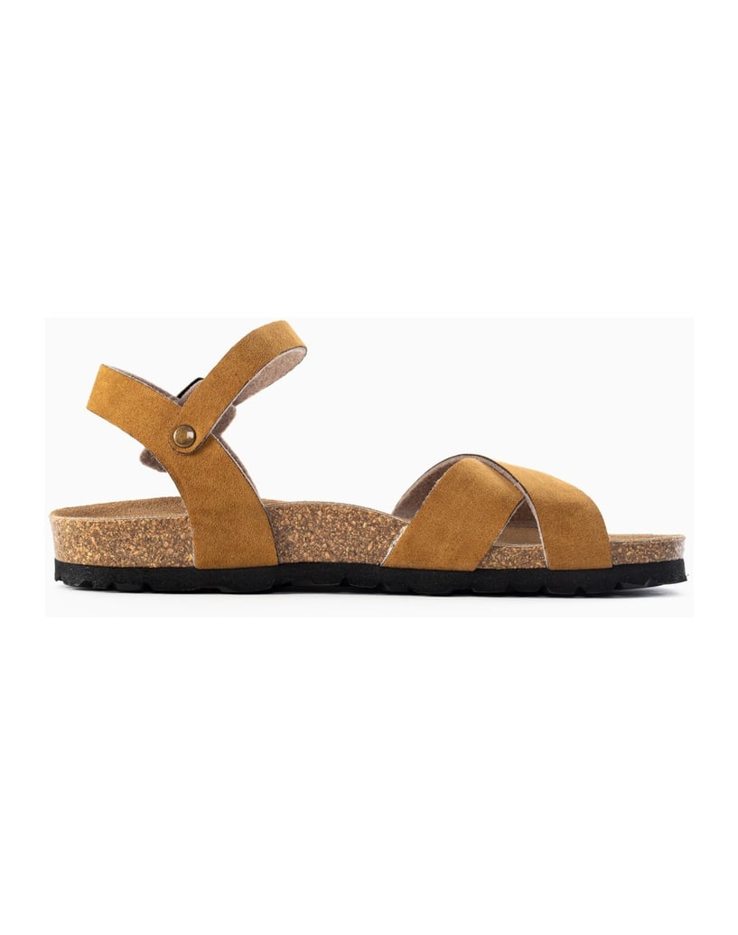 Bayton-Sandales-Vallado-schwarz