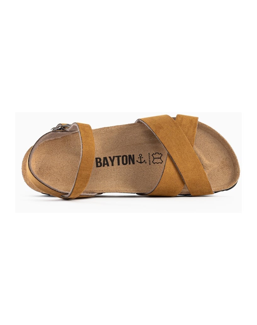 Bayton-Sandales-Vallado-schwarz