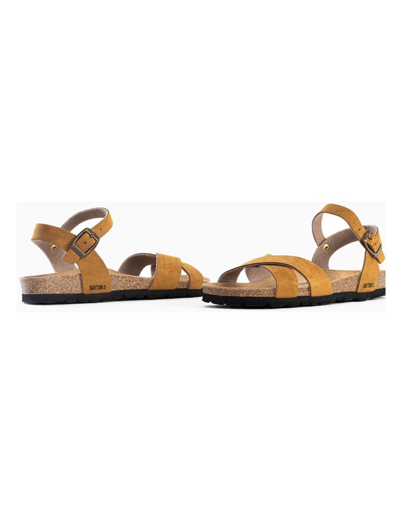 Bayton-Sandales-Vallado-schwarz