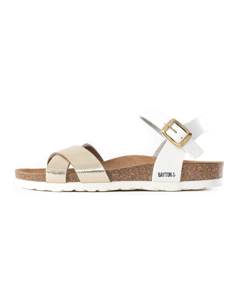 Bayton-Sandales-Vallado-schwarz