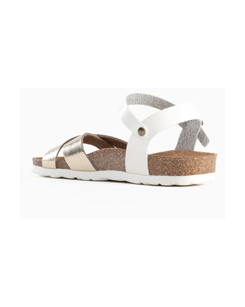 Bayton-Sandales-Vallado-schwarz